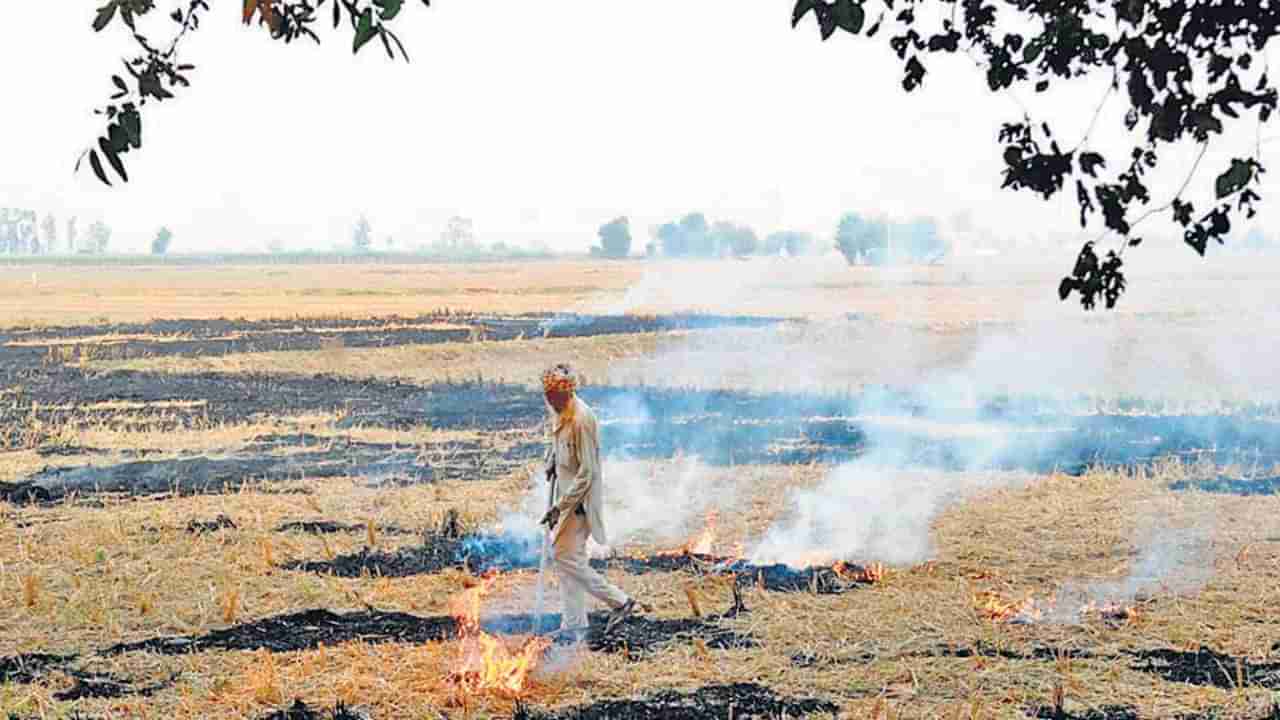 Pollution in Delhi: ఢిల్లీకి పొంచి ఉన్న కాలుష్యం ముప్పు.. పంట అవశేషాలను కాల్చకుండా ఇచ్చే నగదు ప్రోత్సాకాలకు ప్రభుత్వం స్వస్తి..