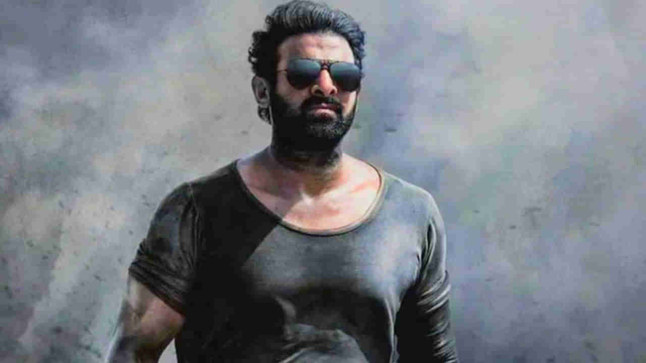 Prabhas: ఆ డైరెక్టర్‌తో డార్లింగ్ ప్రభాస్ పక్కా హిట్ కొడతారంటున్న ఫ్యాన్స్..