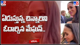 Ants: భూమిపై చీమల లెక్క దొరికింది.. ఎంతో తెలిస్తే షాక్..