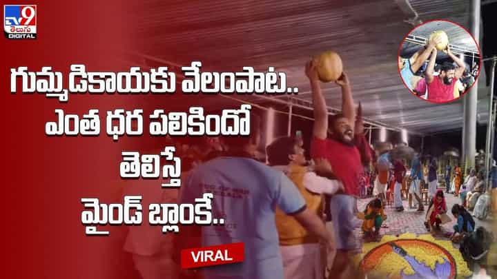 గుమ్మడికాయకు వేలంపాట.. ఎంత ధర పలికిందో తెలిస్తే మైండ్ బ్లాంకే !! గుమ్మడికాయకు వేలంపాట.. ఎంత ధర పలికిందో తెలిస్తే మైండ్ బ్లాంకే !!