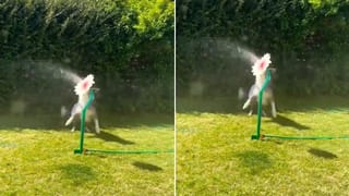 Mother and son: 8 ఏళ్ల అనంతరం తల్లిని కలిసిన క్షణం.. కన్నీరు పెట్టిస్తున్న వీడియో..