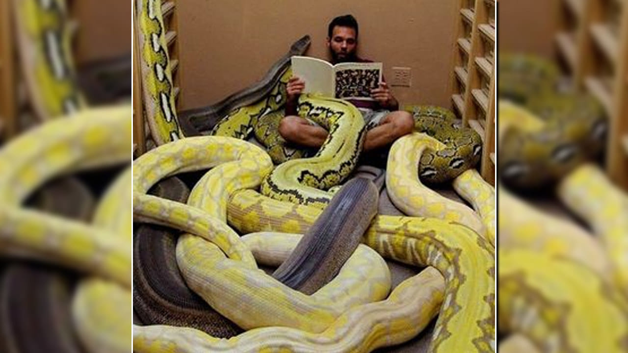 Viral: వామ్మో! నీ డెడికేషన్కు దండంరా సామీ.. అనకొండల మధ్య ఆ చదువేంది ...