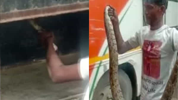 Viral: బస్సు లగేజీ బాక్స్ నుంచి వింత శబ్దాలు.. ఏంటా అని చెక్ చేయగా మైండ్ బ్లాంక్!
