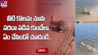 Optical Illusion: అందమైన పూల మధ్యన అంతే అందమైన రెండు ముఖాలు.. 10 సెకన్లలో కనిపెడితే మీరు తోపులే..