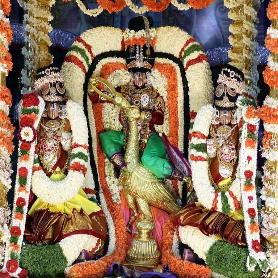 బకాసుర వధ అలంకారంలో సర్వభూపాల వాహనంపై దర్శనమిచ్చిన శ్రీవారు.. దర్శనంతోనే యశోప్రాప్తి