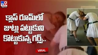 బుసలు కొట్టిన కింగ్ కోబ్రా.. ఎలా కంట్రోల్ చేశాడో చూస్తే షాకే !!