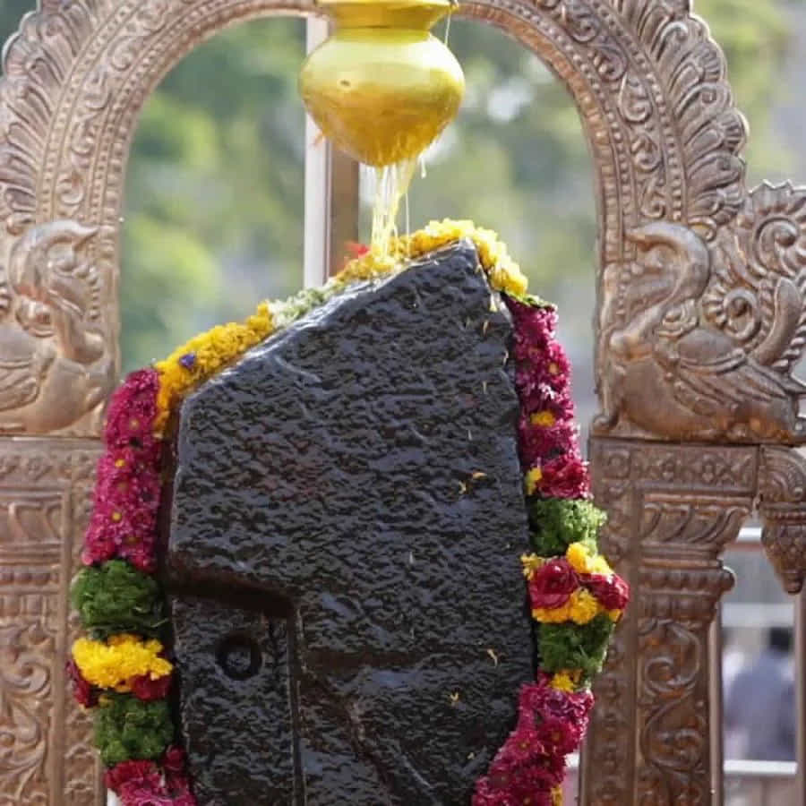 ఒక వ్యక్తి కలలో శని దేవుడిని పూజిస్తున్నట్లుగా వస్తే.. ఆ కల మిశ్రమ ఫలితాలను ఇస్తుందని చెబుతున్నారు పండితులు. ఈ కలలు వస్తే శని దేవుడికి సంబంధించిన పరిహారాలు, పూజలు చేయాలి. అయితే, మీరు ఇప్పటికే శని దేవుడిని పూజిస్తున్నా.. ఈ కల వచ్చినట్లయితే, మీ పూజలకు శనీశ్వరుడు సంతోషంగా ఉన్నాడని అర్థం.
