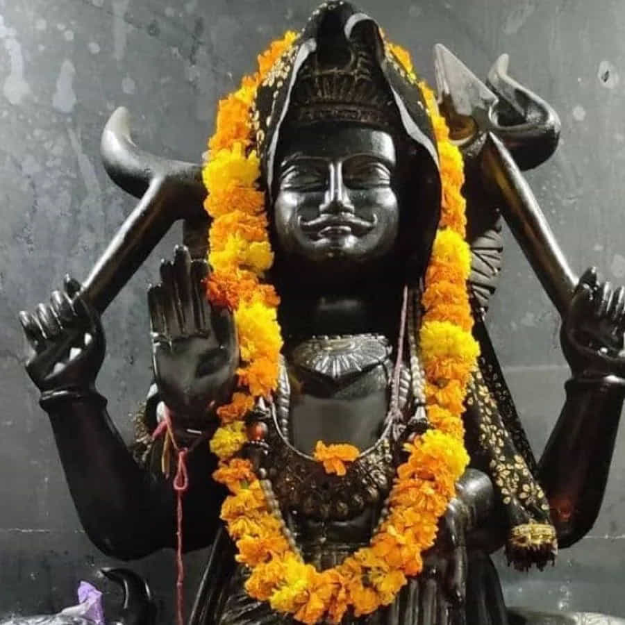 ఒక వ్యక్తి కలలో ఏనుగుపై శని దేవుడి విహరిస్తున్నట్లు కనిపిస్తే అది శుభసూచకంగా పేర్కొంటున్నారు. అలాంటి కల వ్యక్తికి వస్తే వారి జీవితంలో మంచి జరుగబోతుందని అర్థం. ఆనందకరమైన రోజులు వస్తాయి. సంపద, గౌరవం లభిస్తుంది.