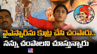 Telangana: కొండెక్కిన కొత్తిమీర.. కిలో రూ.400/- .. అదే కారణమంటున్న వ్యాపారులు