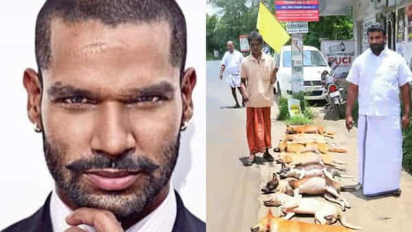 Shikhar Dhawan: అక్కడ కుక్కల సామూహిక సంహారం.. వైరలవుతోన్న టీమిండియా క్రికెటర్ ట్వీట్