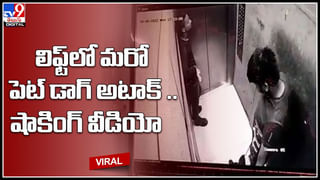 Barbie Doll – Chop sticks: ఓరి నీ తెలివి తగలెయ్య.. బార్బీ బొమ్మను చాప్‌స్టిక్స్‌గా వాడేశాడు.. వైరల్ వీడియో..