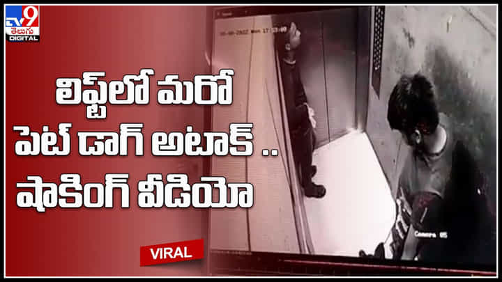 Viral video: ఈ మధ్య రెచ్చిపోతున్న పెట్ డాగ్స్.. లిఫ్ట్లో డెలివరీ బాయ్పై.. మరో పెట్ డాగ్ అటాక్.. షాకింగ్ వీడియో.. Viral video: ఈ మధ్య రెచ్చిపోతున్న పెట్ డాగ్స్.. లిఫ్ట్లో డెలివరీ బాయ్పై.. మరో పెట్ డాగ్ అటాక్.. షాకింగ్ వీడియో..