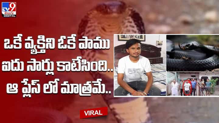 ఒకే వ్యక్తిని ఓకే పాము ఐదు సార్లు కాటేసింది.. ఆ ప్లేస్ లో మాత్రమే.. ఒకే వ్యక్తిని ఓకే పాము ఐదు సార్లు కాటేసింది.. ఆ ప్లేస్ లో మాత్రమే..