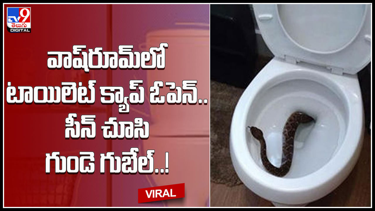 Snake in toilet: వాష్‌రూమ్‌‌లో టాయిలెట్‌ క్యాప్‌ ఓపెన్‌.. సీన్ చూసి గుండె గుబేల్‌..! వయమ్మో....