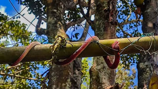 Video Viral: నీ కష్టం ఎవరికీ రావద్దు బ్రదర్.. గర్ల్ ఫ్రెండ్ ను బయటకు తీసుకెళ్లాలనుకున్నాడు.. కానీ వర్షం దెబ్బకు..