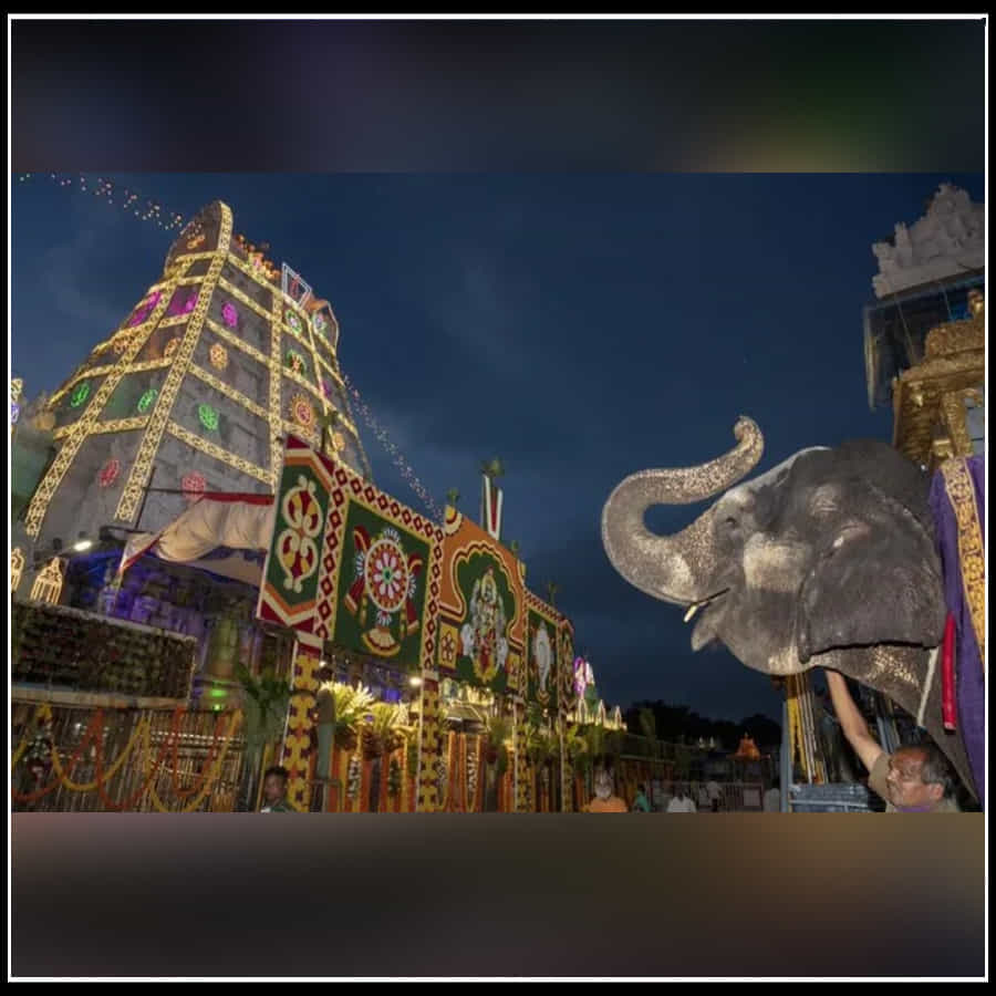 Srivari Brahmotsavam: లైటింగ్ కాంతులతో మెరిసిపోతున్న తిరుమల తిరుపతి దేవస్థానం.. ఎట్రాక్టీవ్ ఫొటోస్.