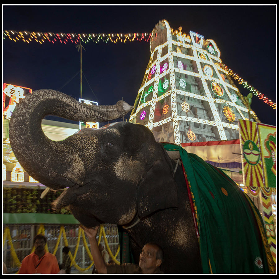 Srivari Brahmotsavam: లైటింగ్ కాంతులతో మెరిసిపోతున్న తిరుమల తిరుపతి దేవస్థానం.. ఎట్రాక్టీవ్ ఫొటోస్.