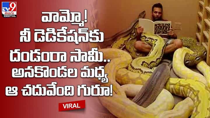 వామ్మో! ఏం గుండె ధైర్యం వీడిది.. అనకొండల మధ్య ఆ చదువేందిరా బాబు వామ్మో! ఏం గుండె ధైర్యం వీడిది.. అనకొండల మధ్య ఆ చదువేందిరా బాబు