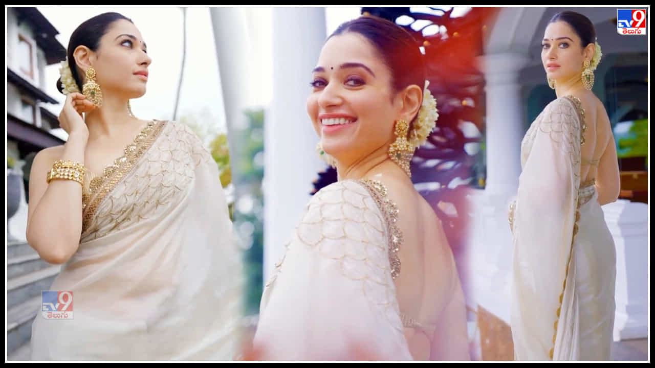 Tamannaah: ఆమె నవ్విందంటే చందమామ చాటేస్తుంది ముఖం.. తమన్నా అందచందాలకు ఫిదా..