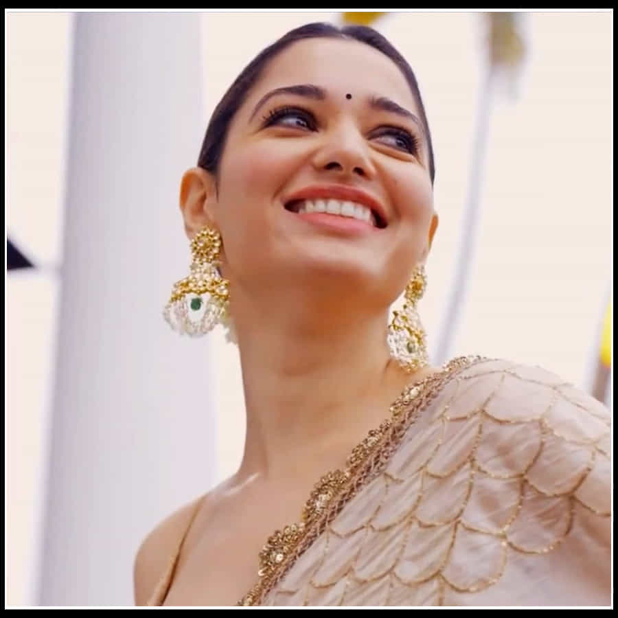 Tamannaah: ఆమె నవ్విందంటే చందమామ చాటేస్తుంది ముఖం.. తమన్నా అందచందాలకు ఫిదా..