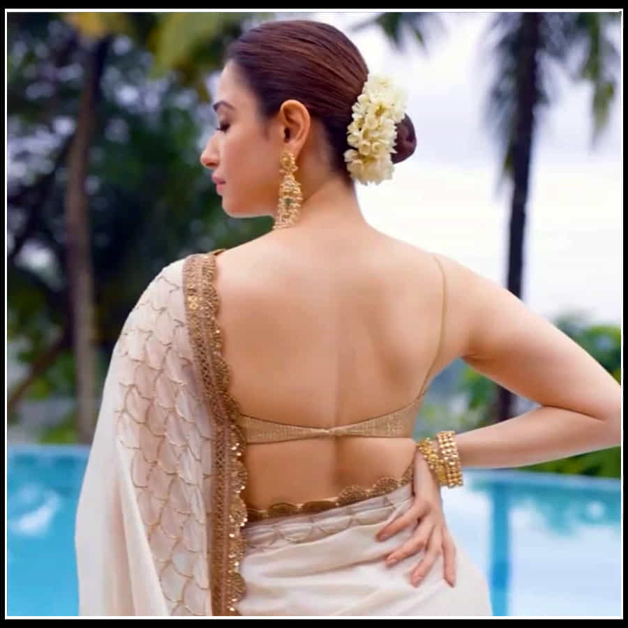 Tamannaah: ఆమె నవ్విందంటే చందమామ చాటేస్తుంది ముఖం.. తమన్నా అందచందాలకు ఫిదా..