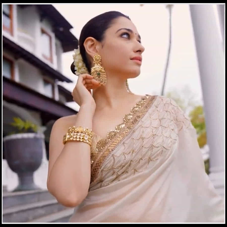Tamannaah: ఆమె నవ్విందంటే చందమామ చాటేస్తుంది ముఖం.. తమన్నా అందచందాలకు ఫిదా..