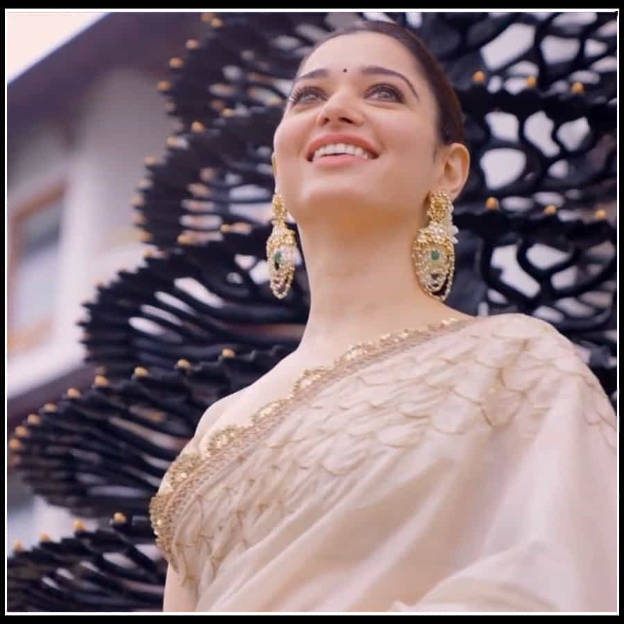 Tamannaah: ఆమె నవ్విందంటే చందమామ చాటేస్తుంది ముఖం.. తమన్నా అందచందాలకు ఫిదా..
