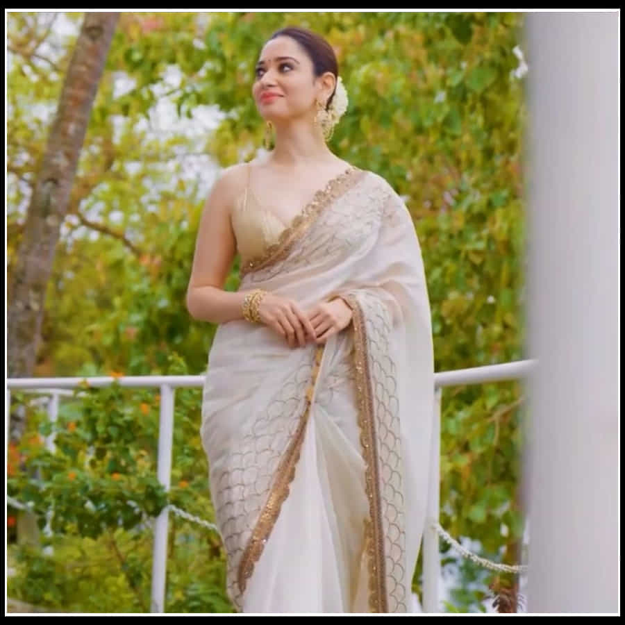 Tamannaah: ఆమె నవ్విందంటే చందమామ చాటేస్తుంది ముఖం.. తమన్నా అందచందాలకు ఫిదా..