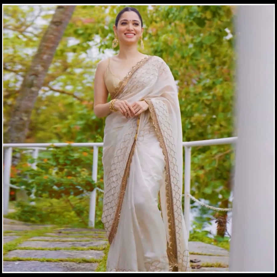 Tamannaah: ఆమె నవ్విందంటే చందమామ చాటేస్తుంది ముఖం.. తమన్నా అందచందాలకు ఫిదా..