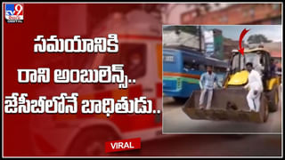 Dogs attack: విరుచుకుపడుతున్న గ్రామ సింహాలు.. గుంపులుగా ఉంటూ రౌడీయిజం చేస్తున్న వీధి కుక్కలు..