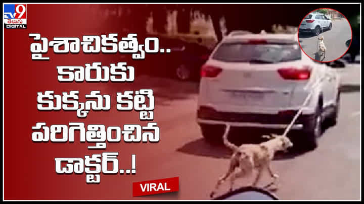Dog Viral video: పైశాచికత్వం.. కారుకు కుక్కను కట్టి పరిగెత్తించిన డాక్టర్..! డాక్టర్పై జంతు హింస చట్టం కేసు.. Dog Viral video: పైశాచికత్వం.. కారుకు కుక్కను కట్టి పరిగెత్తించిన డాక్టర్..! డాక్టర్పై జంతు హింస చట్టం కేసు..