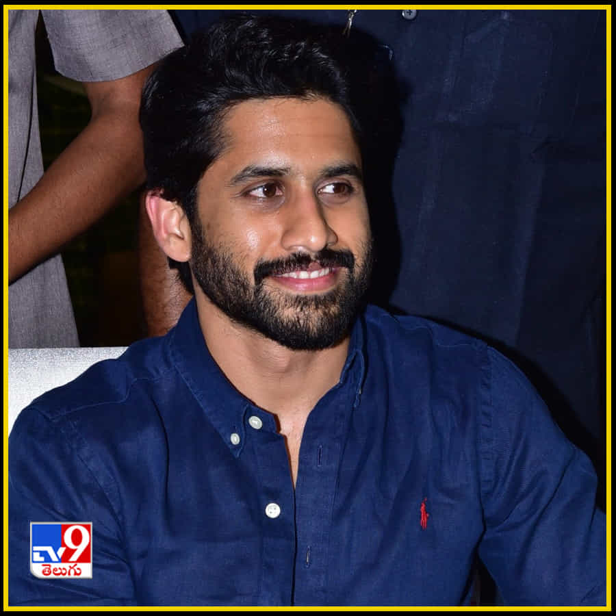 వేదికపై అక్కినేని అందగాళ్లు