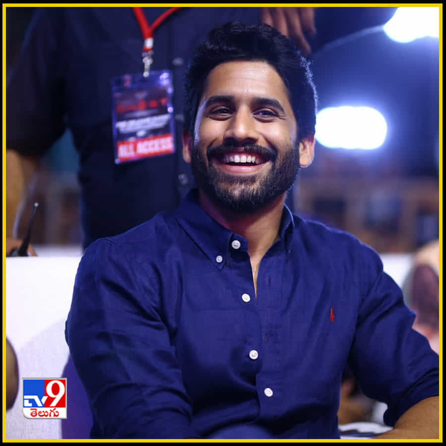 వేదికపై అక్కినేని అందగాళ్లు