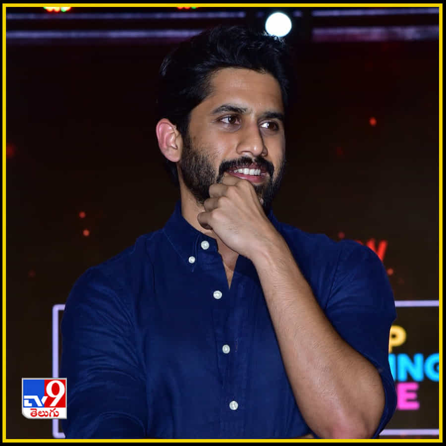 వేదికపై అక్కినేని అందగాళ్లు