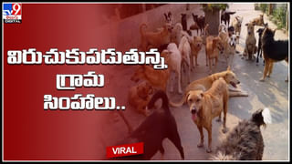 Viral video: రైలులో ప్రయాణిస్తున్న గర్భిణికి పురిటినొప్పులు.. కదులుతున్న రైలులోనే కాన్పు చేసిన వైద్య విద్యార్థిని స్వాతి