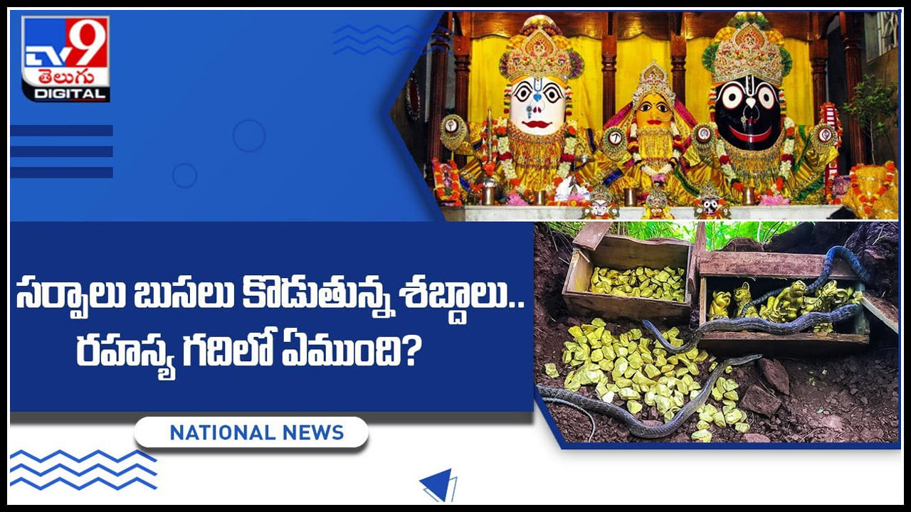 Puri Temple secret: సర్పాలు బుసలు కొడుతున్న శబ్దాలు.. రహస్య గదిలో ఏముంది.?(వీడియో)