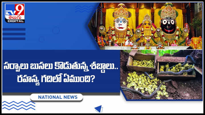 Puri Temple secret: సర్పాలు బుసలు కొడుతున్న శబ్దాలు.. రహస్య గదిలో ఏముంది.?(వీడియో) Puri Temple secret: సర్పాలు బుసలు కొడుతున్న శబ్దాలు.. రహస్య గదిలో ఏముంది.?(వీడియో)
