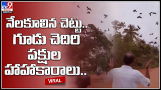 Viral video: ఓర్నీ దుంపతెగ..! మీరెక్కడ దొరికారు రా బాబు.. గణపతి చేతిలో లడ్డూను కూడా వదలడం లేదుగా..