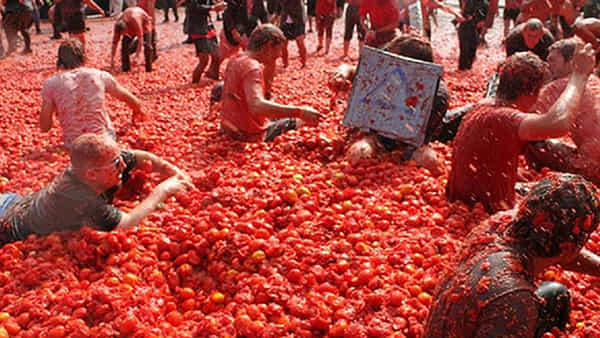 Tomatina festival: వామ్మో.. 130 టన్నుల టమోటాలతో కొట్టేసుకున్నారు.. రోడ్లమీదే జనం రచ్చ రచ్చ.. ఎందుకంటే..!