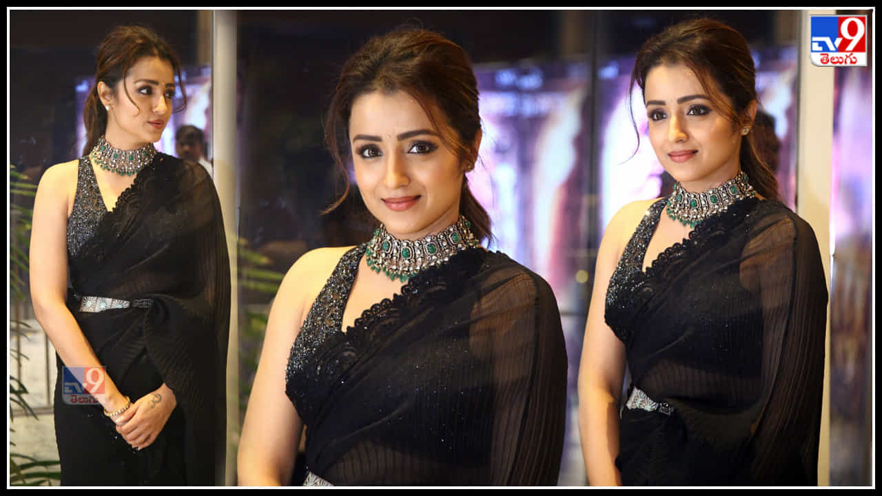 Trisha: నేలపై నడిచే నెలవంకలా చీరకట్టులో చెన్నై సుందరి త్రిష అందాలు..