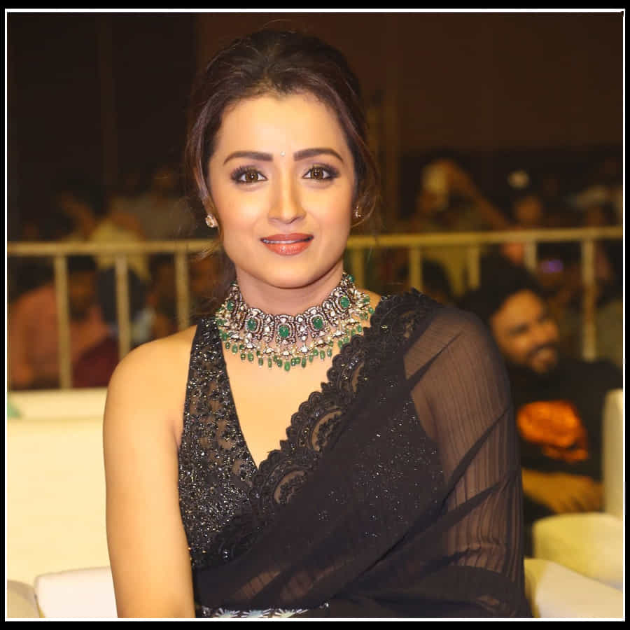 Trisha: నేలపై నడిచే నెలవంకలా చీరకట్టులో చెన్నై సుందరి త్రిష అందాలు..