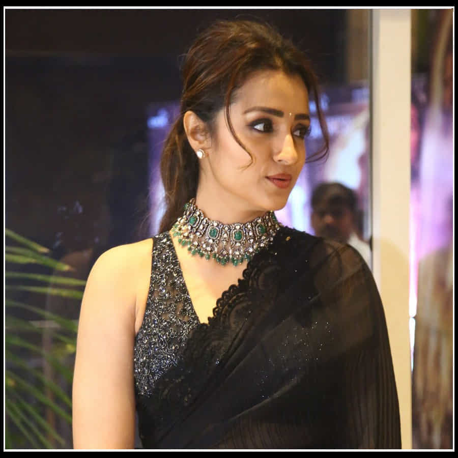 Trisha: నేలపై నడిచే నెలవంకలా చీరకట్టులో చెన్నై సుందరి త్రిష అందాలు..