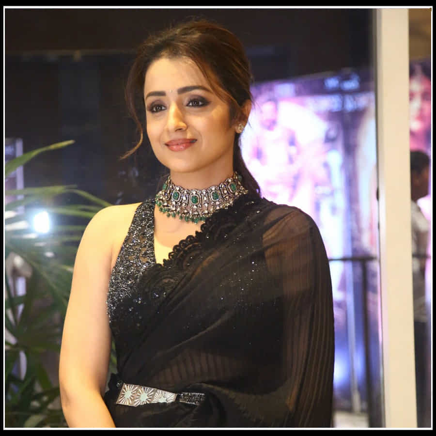 Trisha: నేలపై నడిచే నెలవంకలా చీరకట్టులో చెన్నై సుందరి త్రిష అందాలు..