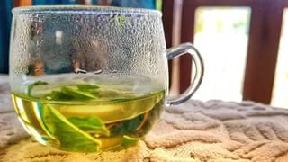 Tea Health: టీ బ్యాగులతో క్యాన్సర్ రావచ్చు.. ఆ పద్ధతిని మానుకోకుంటే ఇక మీ ఇష్టం.. నిపుణుల వార్నింగ్