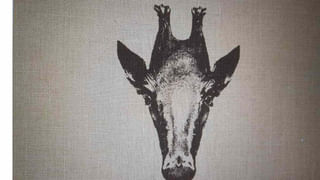 Viral: హాయిగా నిద్రపోయింది.. రూ. 5 లక్షల ప్రైజ్‌మనీ గెలుచుకుంది.. ఎలాగో తెలిస్తే షాకే.!