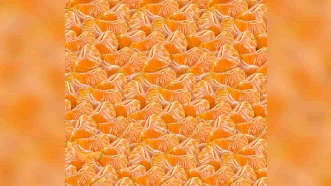 Viral Photo: నారింజ పండ్ల మధ్యన కర్భూజా ముక్క..10 సెకన్లలో కనిపెడితే మీవి డేగకళ్లే..