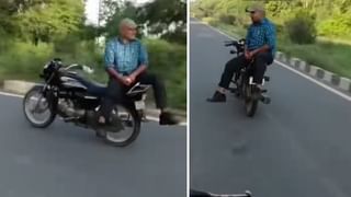 Viral Video: చెట్టు ఎక్కుతున్న వ్యక్తికి ఎదురుపడిన సింహం.. ఆ తర్వాత ఏం జరిగిందంటే..