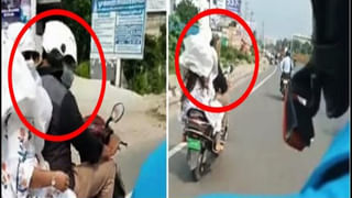 Viral Video: చింపాంజీ పిల్ల పాముని చూసి ఆకతాయి తనంతో చేసిన పని.. పెద్ద చింపాంజీల ప్రాణాలను ప్రమాదంలో పడేసింది..ఫన్నీ వీడియో వైరల్