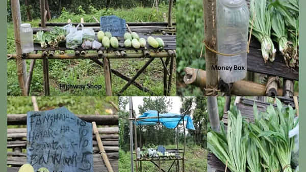 Viral News: హైవే పక్కనే షాపులు.. దుకాణదారుడు లేకుండా నమ్మకం మీద నడిచే వ్యాపారం.. ఎక్కడంటే..