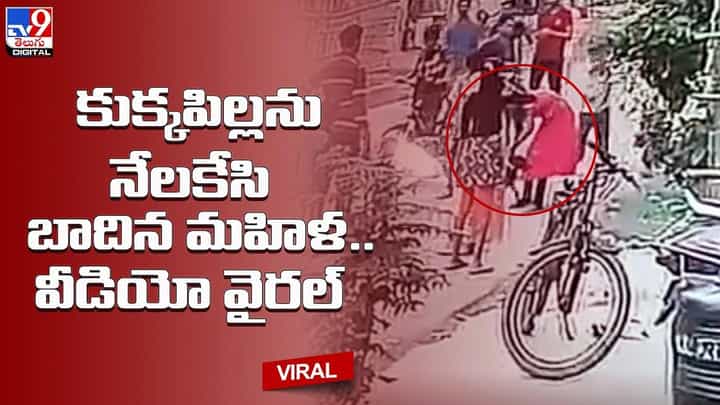 Viral Video: కుక్కపిల్లను నేలకేసి బాదిన మహిళ.. వీడియో వైరల్ Viral Video: కుక్కపిల్లను నేలకేసి బాదిన మహిళ.. వీడియో వైరల్